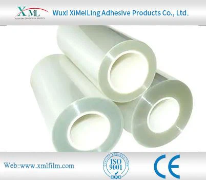 Protective Film Roll